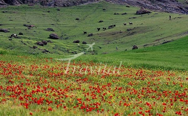 Seilakhor Plain 