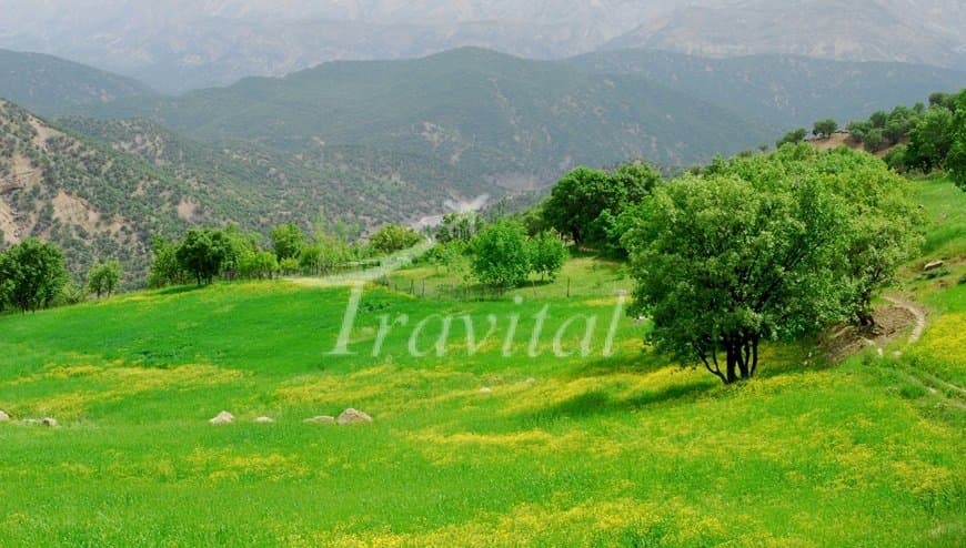 Shahrak Jame’ Mosque – Shahrekord - view 3
