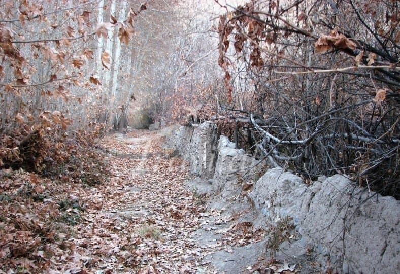 Sirch Village 