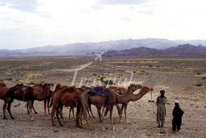 Sistan Plain 