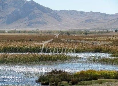 Solagan (Solejan) Wetland 