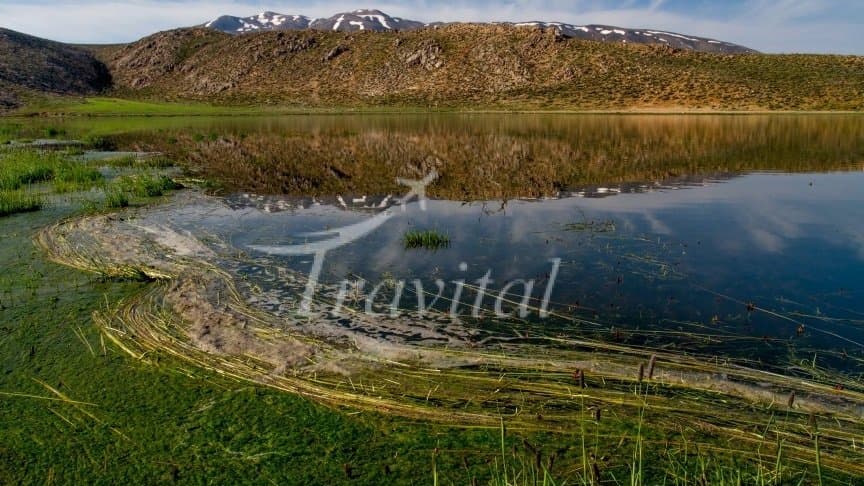 Solagan (Solejan) Wetland – Shahrekord - view 2