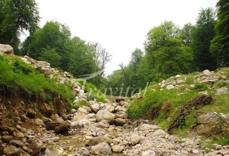 Talar Rood (Siyah Rood) River 