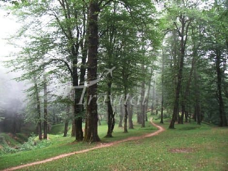 Tonekabon and Ramsar Forests – Ramsar