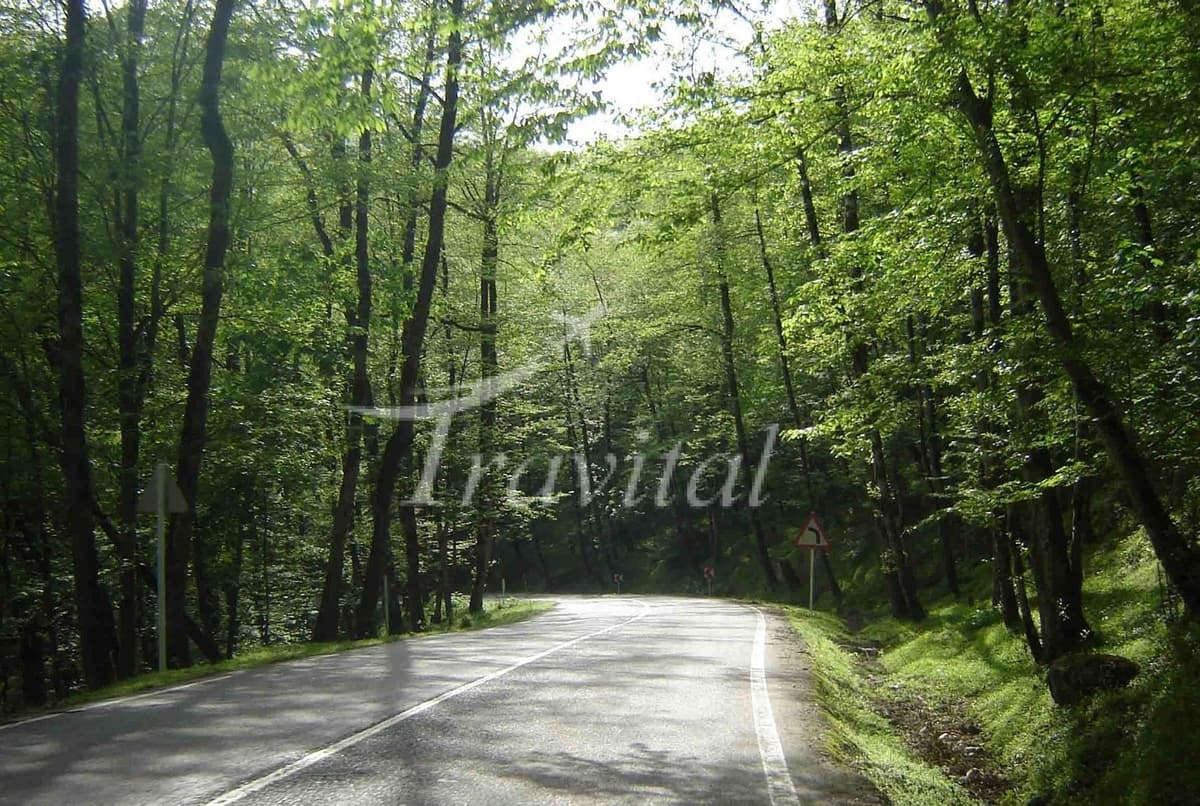 Tonekabon and Ramsar Forests – Ramsar - view 2