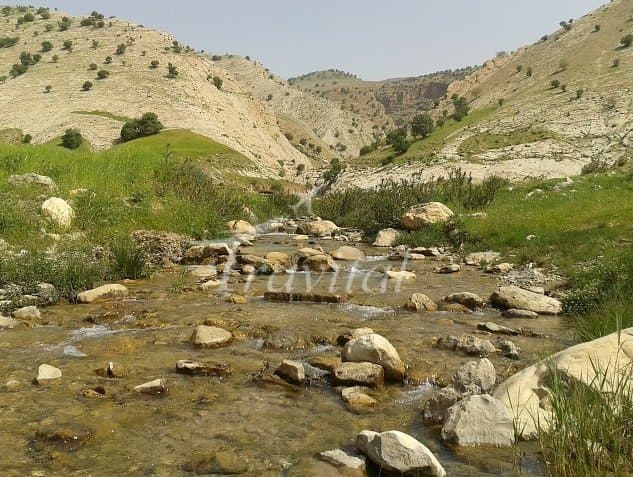 Zarin Abad Village – Dehloran - view 3