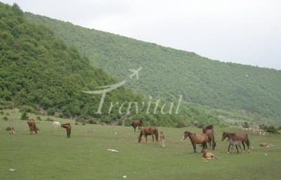 Ziyarat Village 