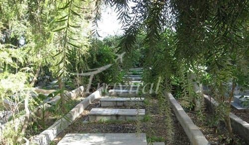 Zoroastrian Graveyard 