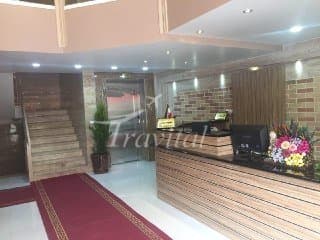 Nasir ol Molk (Nasir al Mulk) Hotel – Shiraz - view 3