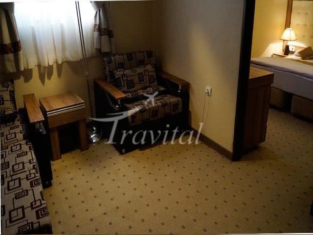 Lotfali Khan (Shayan) Hotel – Shiraz - view 5