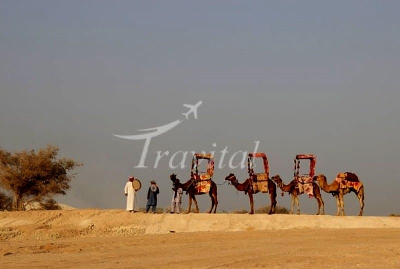 Tour Gallery - view 3