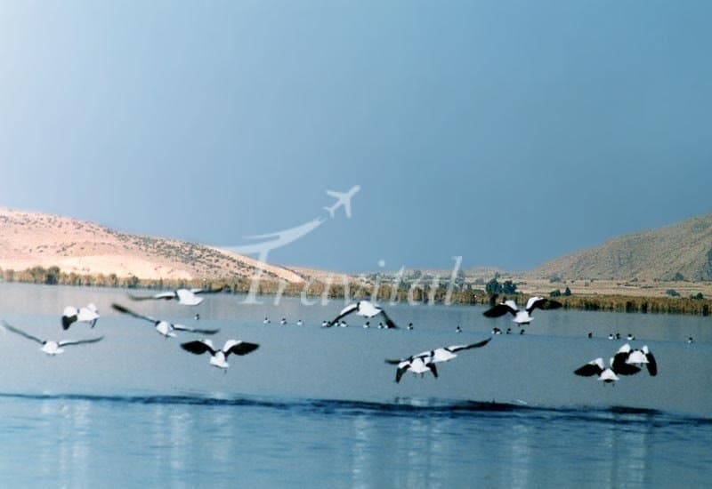 Arjan Lake and Wetland