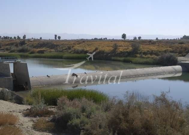 Bampour River – Iran Shahr
