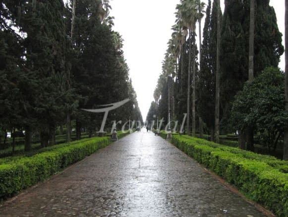Casino Boulevard – Ramsar - view 2