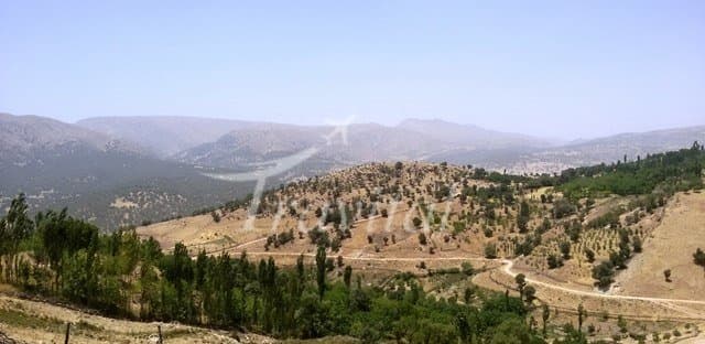 Charam Village – Dehdasht (Kohgiluyeh)