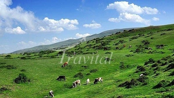 Daylaman and Lahijan Mountains – Ramsar - view 3