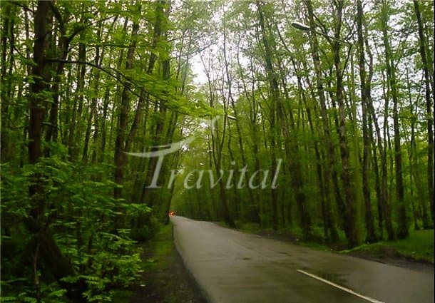 Talesh - view 2