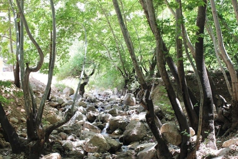 Ganjehie Gorge – Dehdasht (Kohgiluyeh)