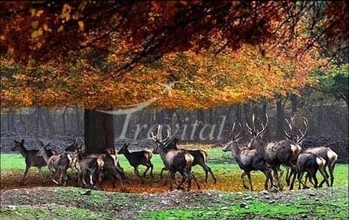 Golestan National Park – Gorgan - view 2