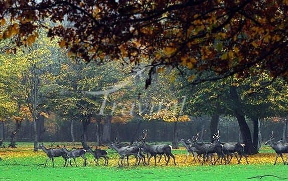 Golestan National Park – Gorgan - view 3
