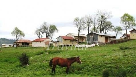 Gorgan - view 1