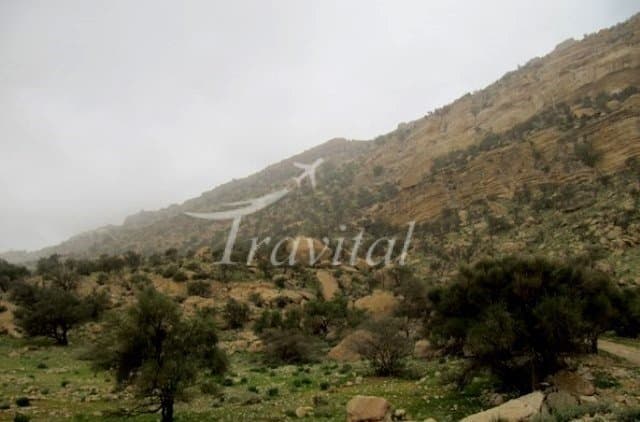 Kooh Siyah Hunting Zone – Dashtestan (Burazjan)