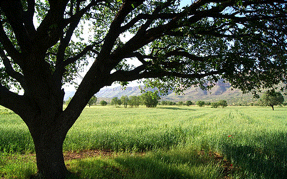 Koohdasht Plain – Koohdasht - view 2