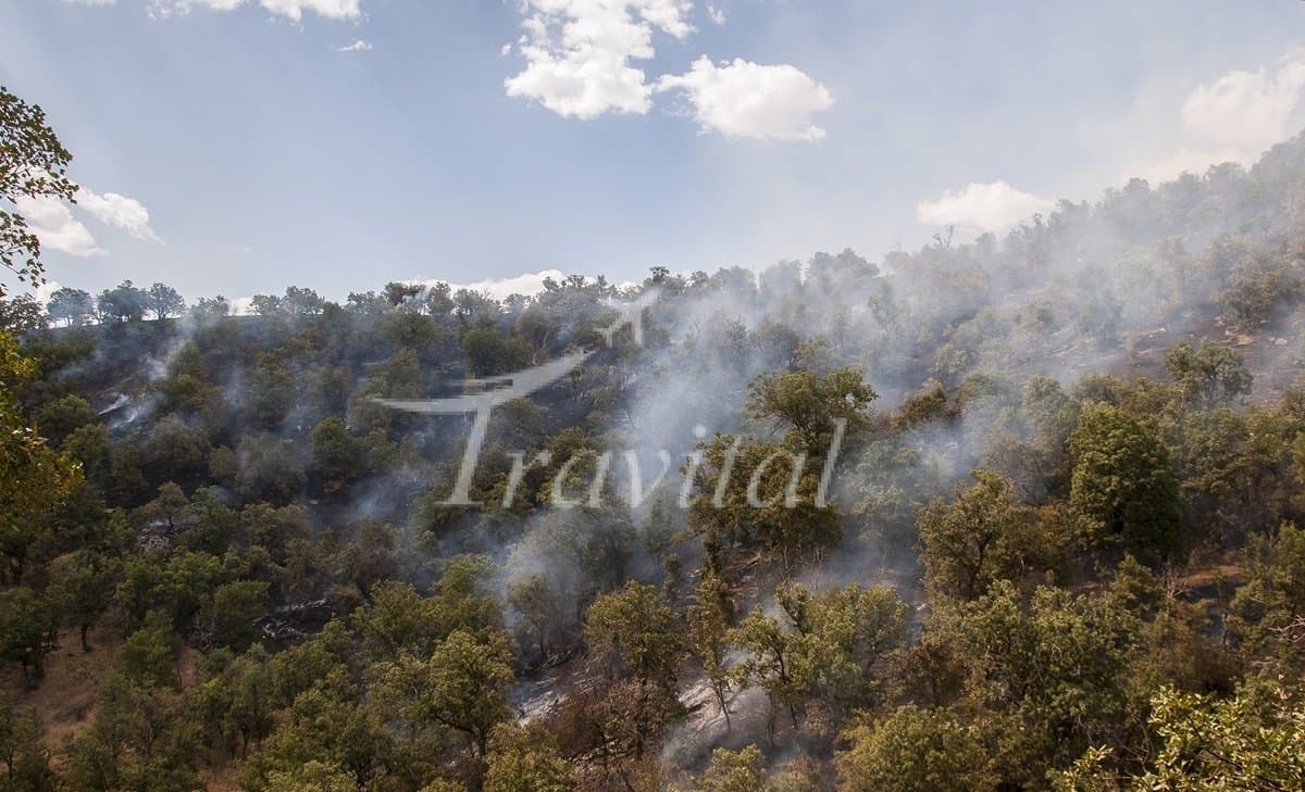 Marivan Forests