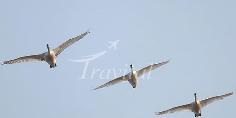 Miankaleh Protected Area – Behshahr