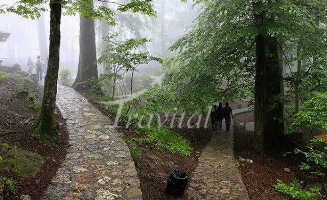 Namak Abrud Forest Park – Chalus