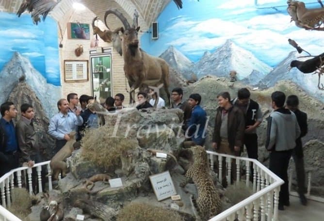 Natural Science Museum – Yazd - view 2