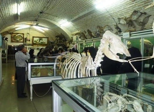 Natural Science Museum – Yazd - view 3