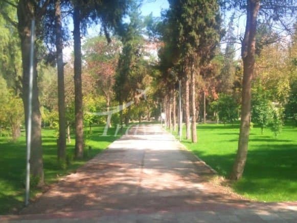 Nazar Garden of Kazerun – Kazeroon - view 2