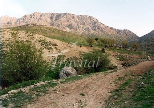 Palang Darreh Protected Area – Qom