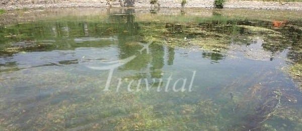 Panjali Spring