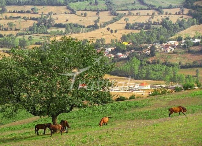 Pasha Kola Village – Sari