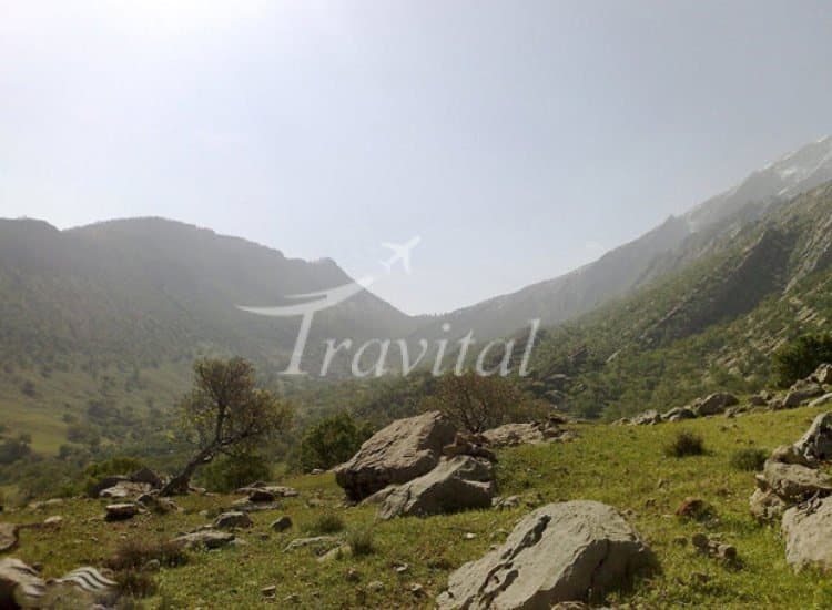 Plant Coverings – Dehdasht (Kohgiluyeh)