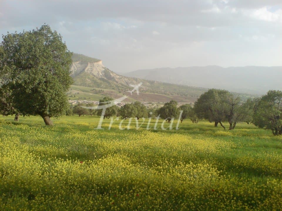 Sheshdar Forest Recreation Places – Ilam - view 3