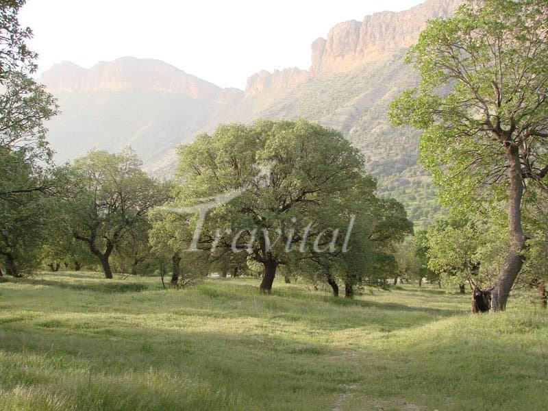 Tang-e-Dalav Forest Receation Sites – Ilam - view 2