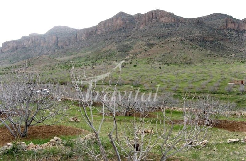 Tang-e Palangan – Neyriz - view 3