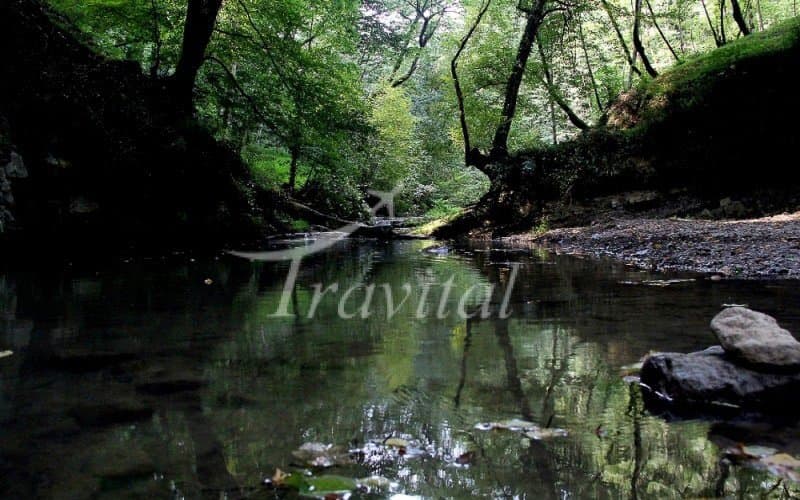 Tirkan Waterfall – Babol