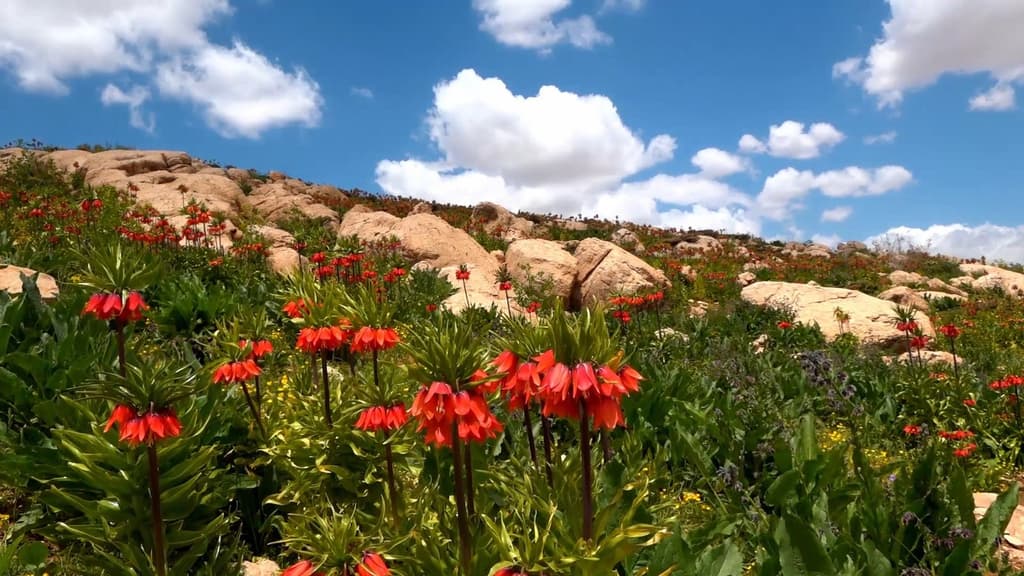 Lorestan Province Attractions