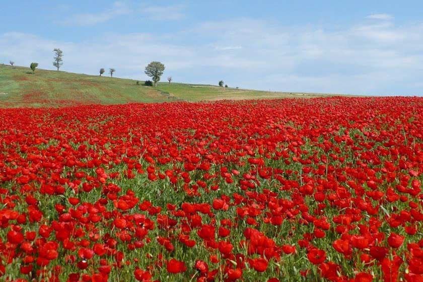Semnan Province tourist attractions: Garmsar, Shahrood, Damghan